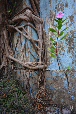 Illustration for article titled These post-apocalypse images of Hong Kong are actually real photos